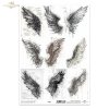 Grafiki, skrzydła, anioły, pióra, szkice, czarno-białe * Graphics, wings, angels, feathers, sketches, black and white.